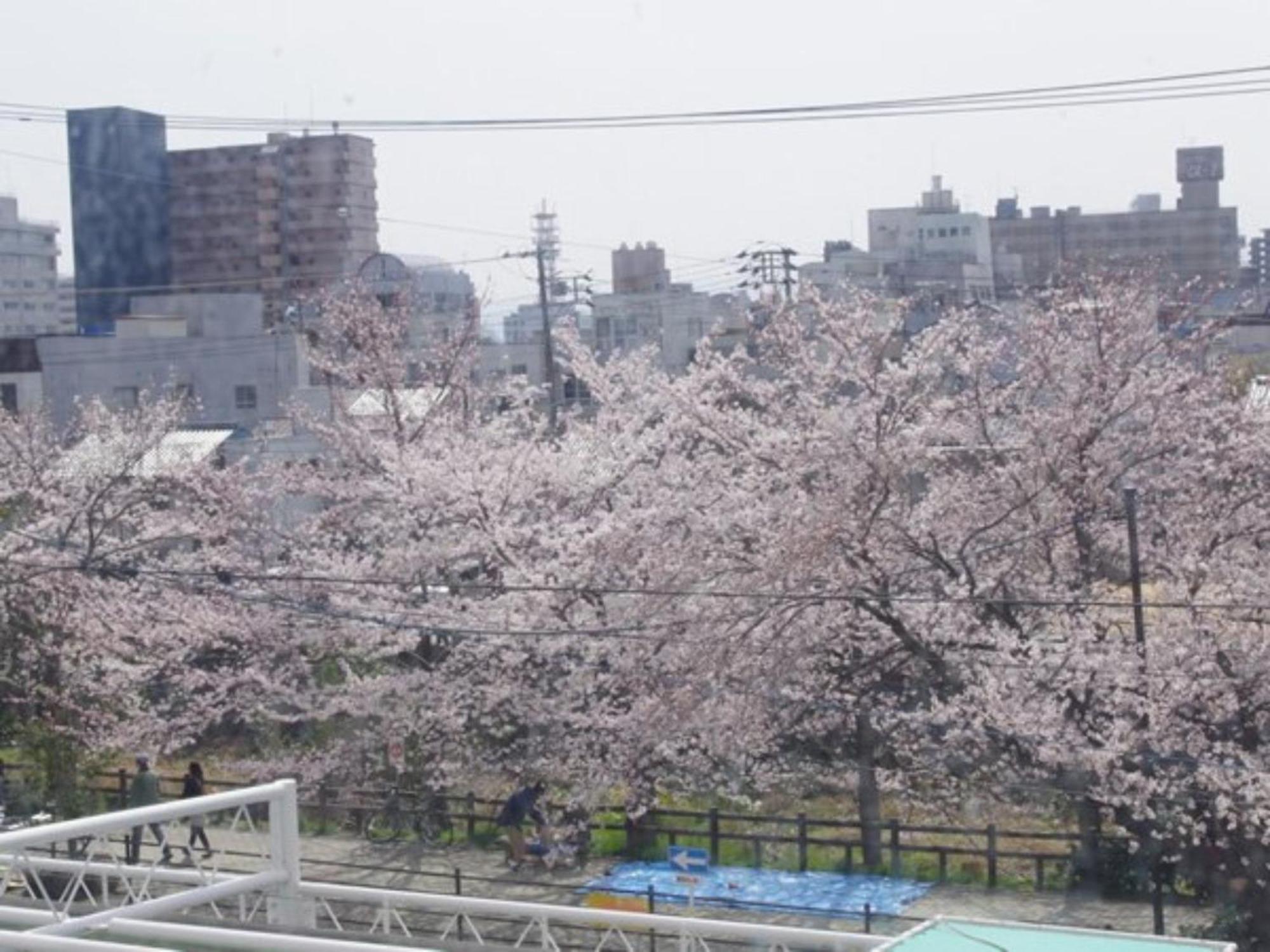 Tottori City Hotel / Vacation Stay 81359 Bagian luar foto